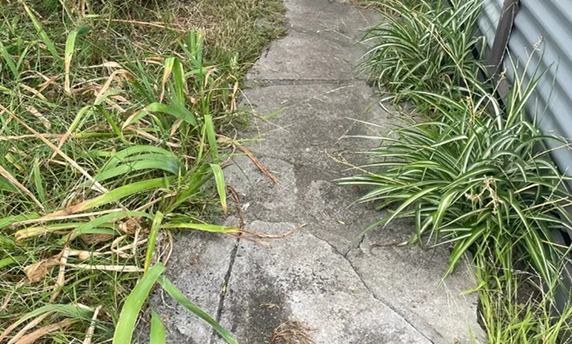 Before — From trip hazard to stenciled masterpiece