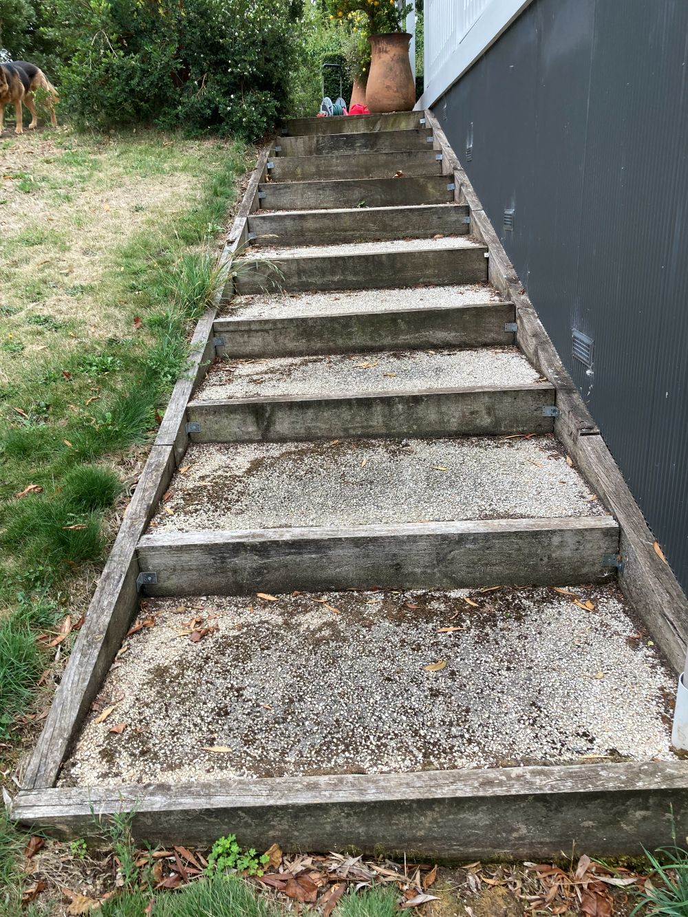 Before — Complete Revitalisation: New Paths & Solid Steps
